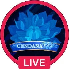 cendana777 Terbaru: Review Aplikasi dan Link Unduh